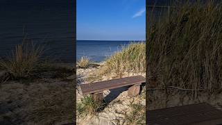 Strandaufgang mit Bank  Neuendorf auf der Insel Hiddensee  19102024 nature travel art love [upl. by Terence]