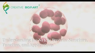 Understanding the NFKB1 Protein Structure Function and Applications [upl. by Latreece]