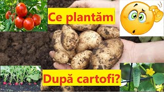 Ce putem planta după cartofi și ce NU putem planta după cartofi [upl. by Atnuahc]