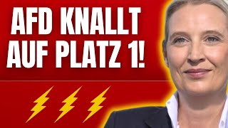 ⚡ AFD KNACKT NEUEN MEGAREKORD⚡ [upl. by Ezarras800]