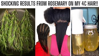 HOW TO MAKE amp USE ROSEMARY WATER FOR THICKER LONGER 4C HAIR DIY MASSIVE HAIR GROWTH SPRAY [upl. by Artenra]