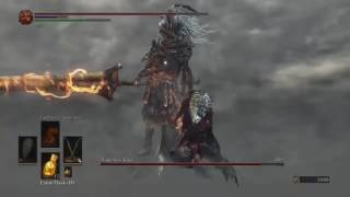 DARK SOULS 3 Sellsword Twinblades vs Nameless King [upl. by Atnes]