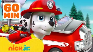 PAW Patrol Rescue Wheels Adventures w Marshall 🚗 1 Hour  Nick Jr [upl. by Milka99]