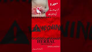 Maida Kharab Hone Ki Alamat In Urdu  How does the Stomach Function  stomach problems solution [upl. by Amando]