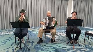 The Hanover Waltz Ulmer Trio Jam Session Myrtle Beach South Carolina October 2024 [upl. by Faux230]