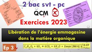 2 bac pc svt exercice 2023 ep 3 libération de lénergie emmagasinée dans la matière organique [upl. by Yaral]