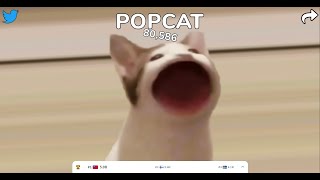 自動點擊啵啵貓 POPCAT Auto Click [upl. by Nnilsia22]