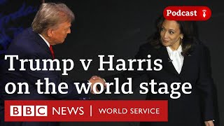 How the US election will shape Americas global role  The Global Story podcast BBC World Service [upl. by Punke]