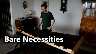 Bare Necessities  Probiers mal mit Gemütlichkeit Marimba Cover [upl. by Nnayar]