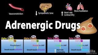 Adrenergic Drugs  Pharmacology Animation [upl. by Lissie]