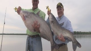 TWO MASSIVE CATFISH caught on the Mississippi River [upl. by Norreg]