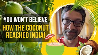 You Wont Believe How the Coconut Reached India [upl. by Hoseia]