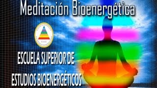 Meditación Bioenergética CharlaTaller 1ªparte [upl. by Ile]