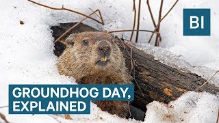 Groundhog Day clip13 quotDid you want to talk about the weather or chitchatquot [upl. by Kampmeier421]