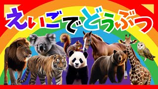 【どうぶつ】えいごでどうぶつ｜子供向け英語｜英会話｜動物動画 [upl. by Edyak]