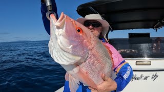 Huge Large Mouth Nannygai inshore fishing Townsville Hot bite [upl. by Eniamaj832]