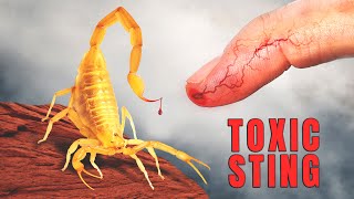 STUNG by the DEADLIEST Scorpion in America [upl. by Aleedis]