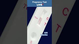 LIVE Pregnancy Test 🧪  How to use pregnancy test kit  Positive pregnancy test pregnancytest [upl. by Thorbert]