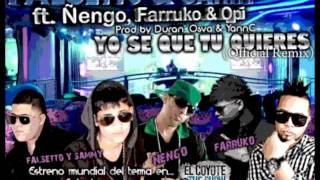 Falsetto y Sammy Ft ÑengoFlowFarruko y Opi  Yo Se Que Tu Quieres Remix letra lyrics [upl. by Endor421]