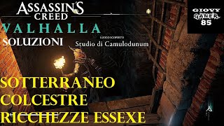 ASSASSINS CREED VALHALLA  Ricchezze Colcestre  Sotterraneo  Studio di Camulodunum  ESSEXE [upl. by Nalniuq]