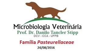 Micro Vet 20161 Aula 08  Família Pasteurellaceae [upl. by Uri690]