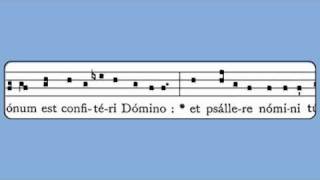 In Medio Ecclesiae Common of Doctors Introit [upl. by Cire]