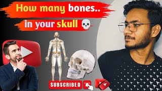 How many bones in your skull without ear ossicles and body [upl. by Musihc]