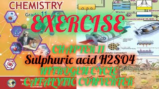 EXERCISE CHAPTER 11 CHEMISTRY CLASS 11 NBF FEDERAL  SULPHURIC ACID NITROGEN CYCLE  CAT CONVERTER [upl. by Yetah]