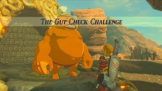 The Legend of Zelda Breath of the Wild Wii U  Shrine Quest  The Gut Check Challenge [upl. by Alihs628]