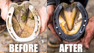 Horse Hoof Cleaning  Satisfying Full Hoof Restoration [upl. by Lehet627]