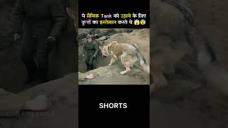 This is how soldiers used dogs in war shorts shortvideo [upl. by Ormand700]