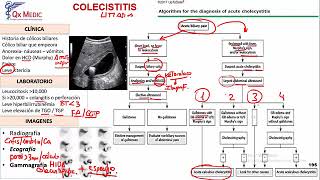 CIRUGÍA GENERAL 7 COLECISTITIS [upl. by Ecnerrat135]