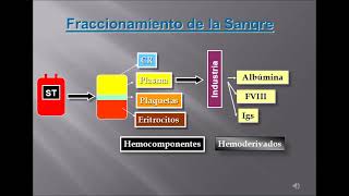 PREPARACION HEMOCOMPONENTES [upl. by Staci]