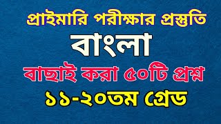 বাংলা বিগত সালের প্রশ্ন  প্রাইমারি পরীক্ষার প্রস্তুতি বাংলা সাহিত্য ও ব্যাকরণ [upl. by Karwan]