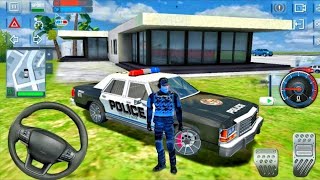 DACIA VOLSKVAGEN  FORD BMW COLOR POLICE CARS TRANSPORTING WITH TRUCKS [upl. by Eislek766]