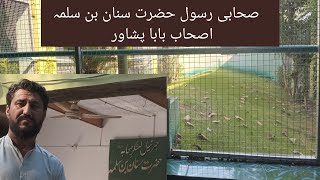 Sahabi e Rasool  Hazrat Sanan Bin Salama RA  Ashab Baba Peshawar اصحاب بابا پشاور۔ [upl. by Nevyar]