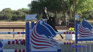 001S Taren Hoffos on Regalla CCI4 Short Show Jumping Twin Rivers Ranch Sept 2024 [upl. by Obmar112]