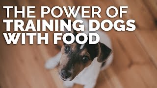 The Power of Training Dogs with Food [upl. by Anigue690]