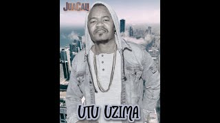 JuaCali  Nipe Mkono Ft TeeHits Official Audio [upl. by Kerk]