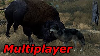 WolfQuest 3 AE  Multiplayer stream [upl. by Lennod]