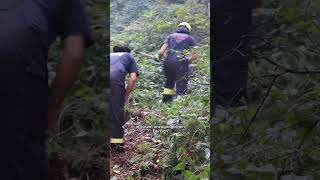 Waldbrand in der Sächsischen Schweiz feuerwehr sachsen polizei saechsischede [upl. by Millburn]