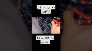 من حلقة نظام تبخير البانزين فحص بلف البخار car automobile gdi اكسبلور carengine explore ترند [upl. by Iht]