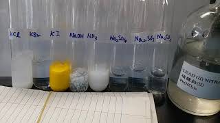 Precipitation of Pb2 with negative ions [upl. by Nonrev]