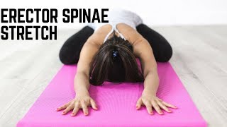 Erector Spinae Stretches for Effective Lower Back Pain Relief [upl. by Aitnohs]