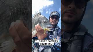 SECRET lure for BIG FISH fishing australiafishing fishingvideo [upl. by Meghan171]