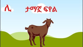 ታማኟ ፍየል ተረት ተረት  in Amharic  Amharic Fairy Tale [upl. by Tohcnarf558]