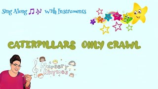 Caterpillars Only Crawl🐛🎶🎵 English Rhymes [upl. by Ayekin316]