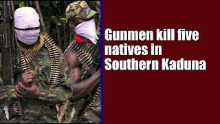 NEWS Gunmen kill five natives in Southern Kaduna [upl. by Atined]