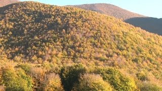 Prato di Campoli Autumn Foliage in Italy Hikes Near Rome [upl. by Kcirdlek]