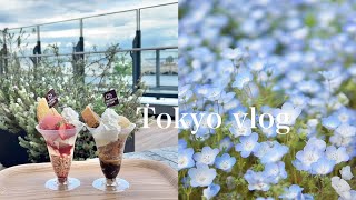 【東京vlog】フォーシーズンズでアフタヌーンティー｜ネモフィラを見に行く休日💠 [upl. by Yelreveb]